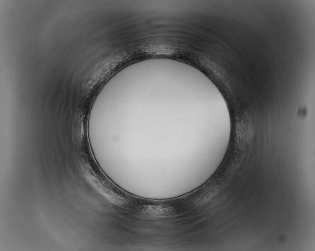 X0000115620541200911241626