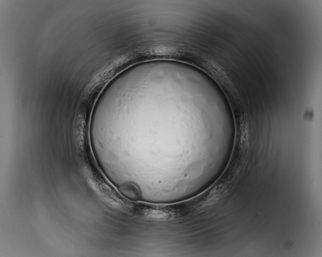 X0000115620542200911241626