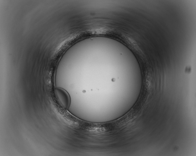 X0000115620543200911241626