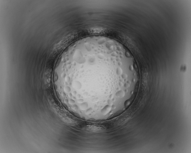 X0000115620545200911241626