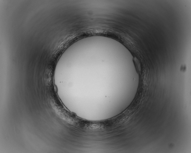 X0000115620546200911241626