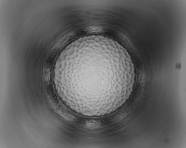 X0000115620549200911241626