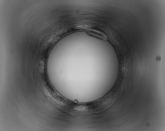 X0000115620551200911241626