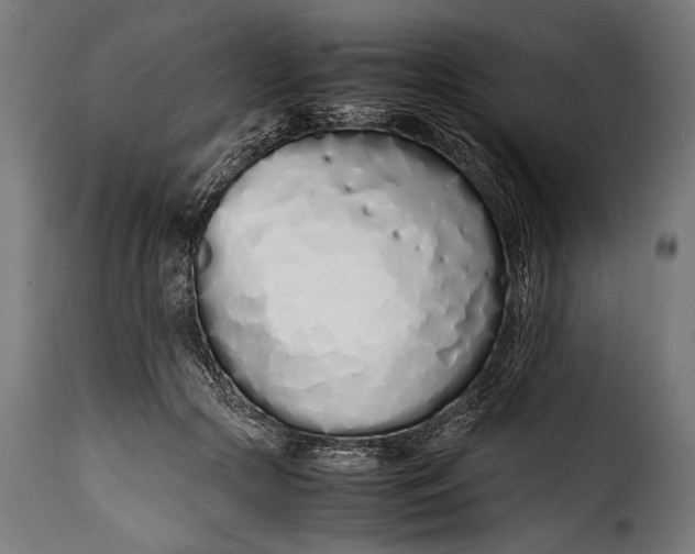 X0000115620553200911241626