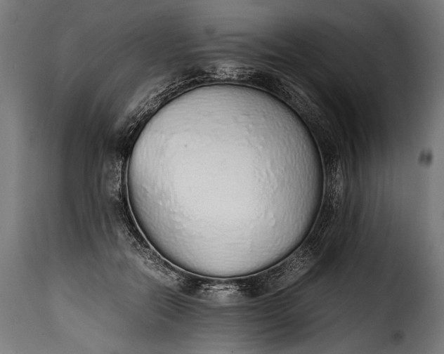 X0000115620554200911241626