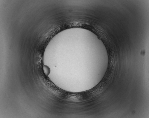 X0000115620555200911241626