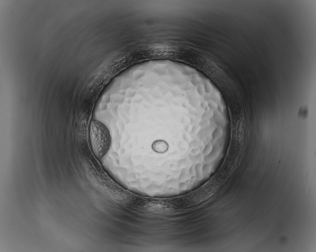 X0000115620557200911241626