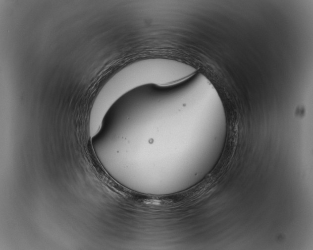 X0000115620558200911241626