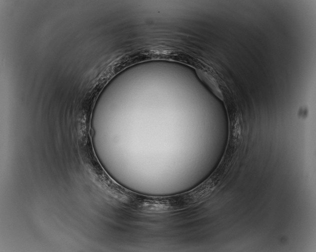 X0000115620559200911241626