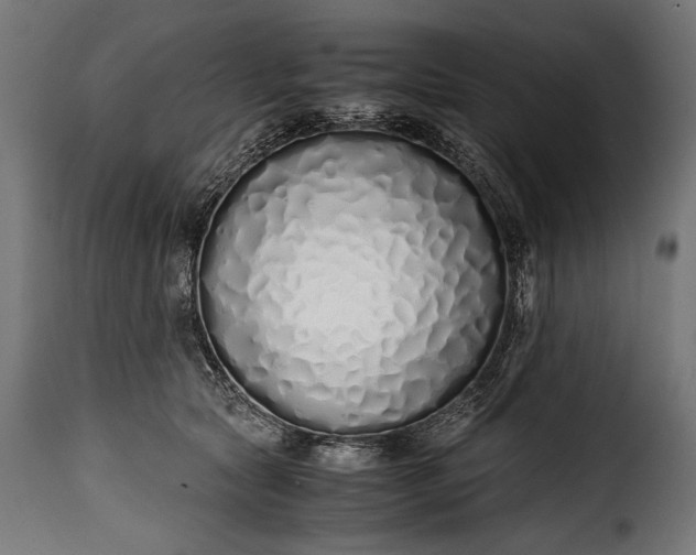 X0000115620561200911241626