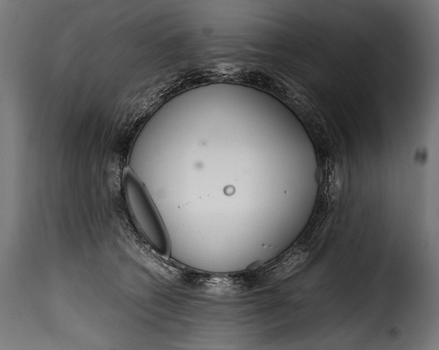 X0000115620562200911241626