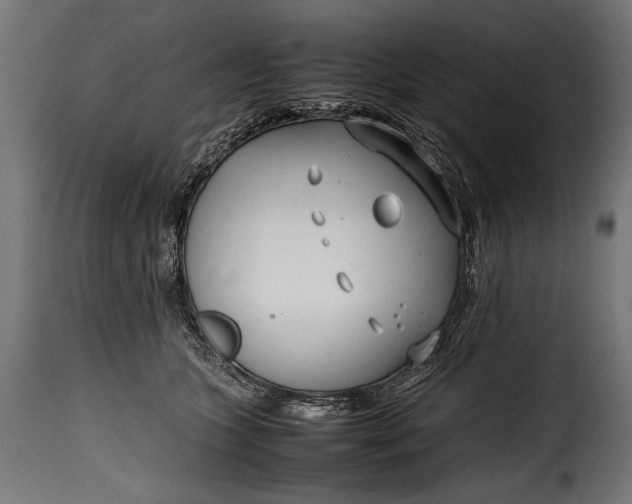 X0000115620563200911241626