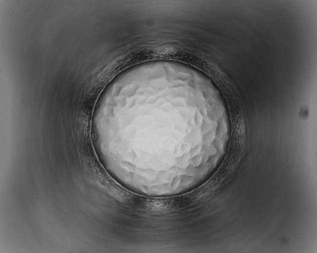 X0000115620565200911241626