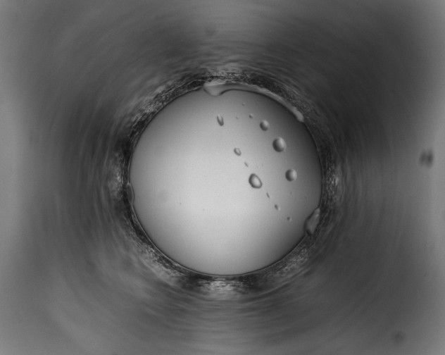 X0000115620566200911241626