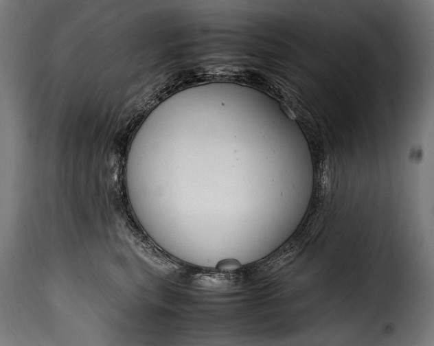 X0000115620567200911241626