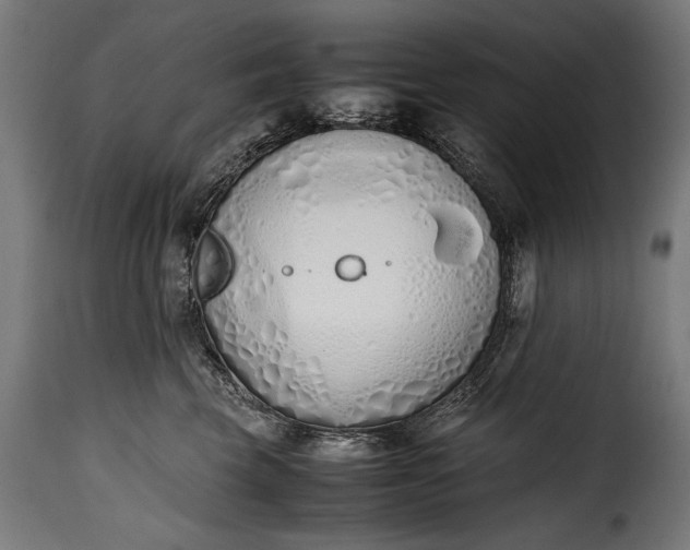 X0000115620569200911241626