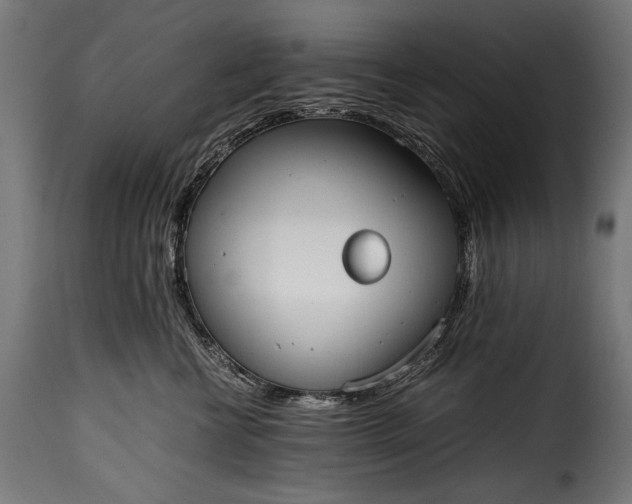 X0000115620570200911241626