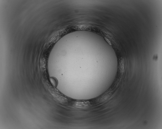 X0000115620571200911241626