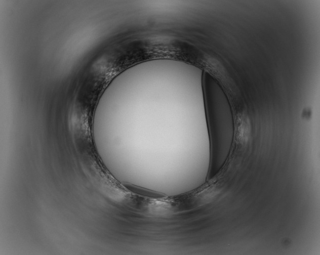 X0000115620573200911241626