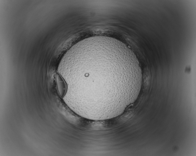 X0000115620574200911241626