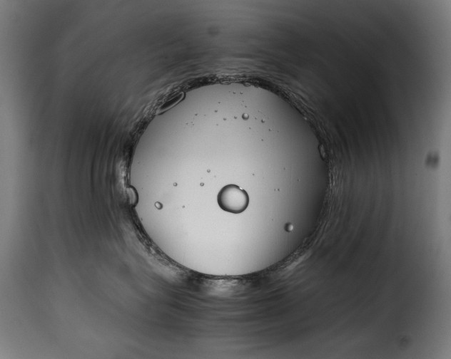 X0000115620575200911241626