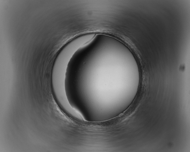 X0000115620577200911241626