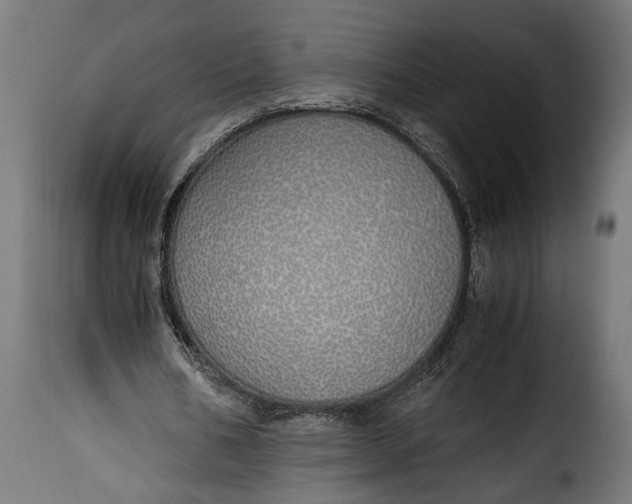 X0000115620578200911241626