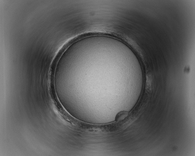 X0000115620580200911241626