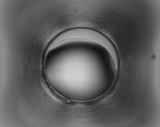 X0000115620581200911241626