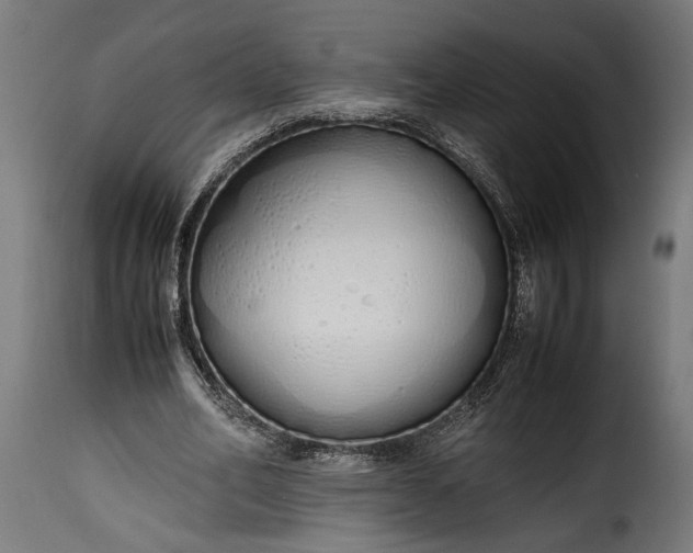 X0000115620582200911241626