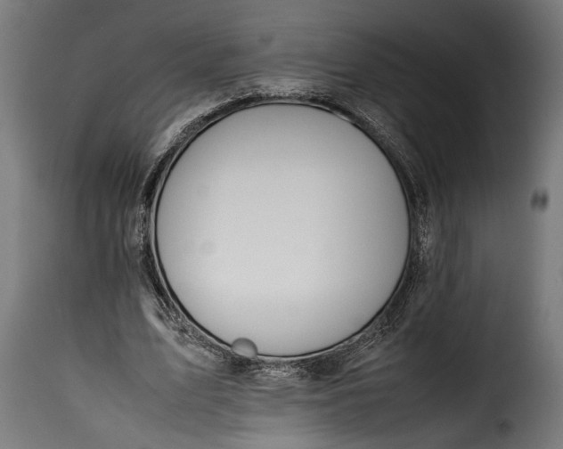 X0000115620583200911241626