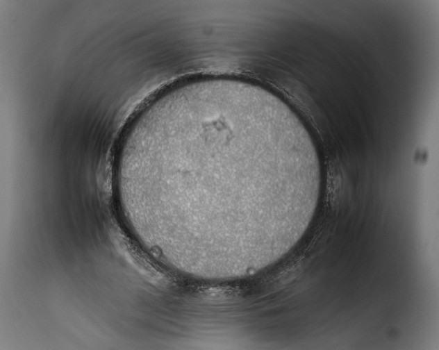 X0000115620584200911241626