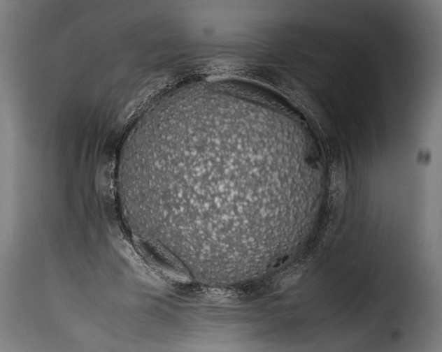 X0000115620585200911241626