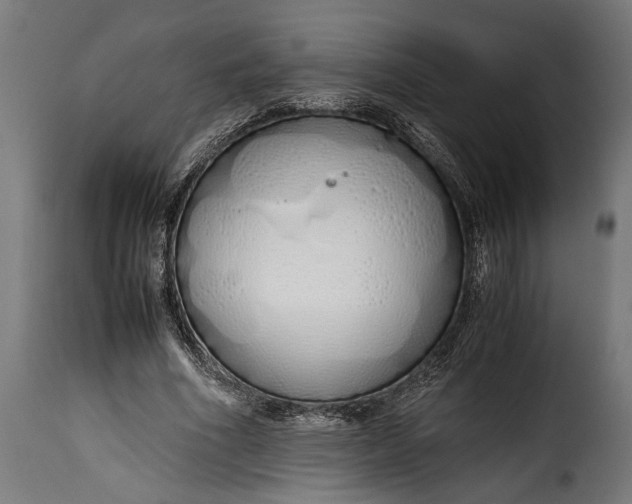 X0000115620586200911241626