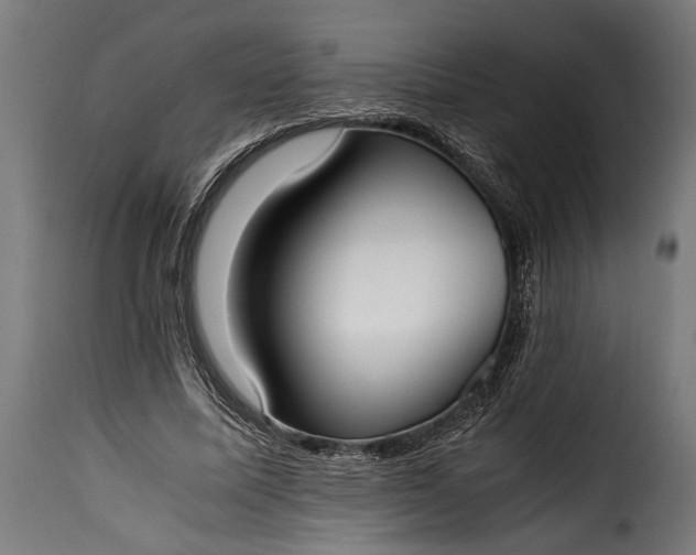 X0000115620587200911241626