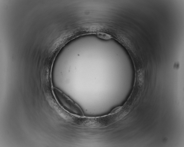 X0000115620589200911241626