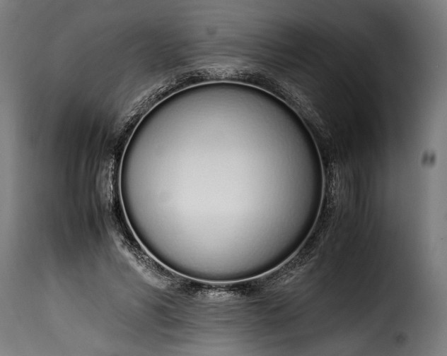 X0000115620590200911241625