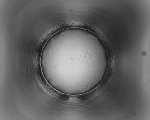 X0000115620591200911241625