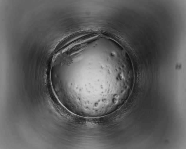 X0000115620592200911241625