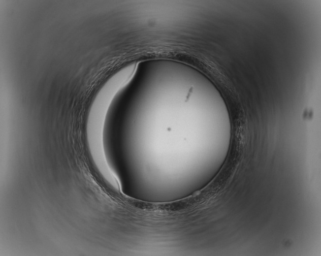 X0000115620593200911241625