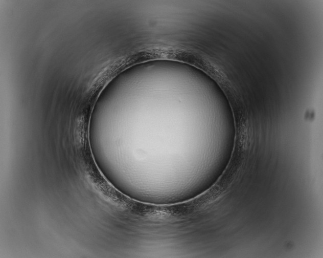 X0000115620594200911241625