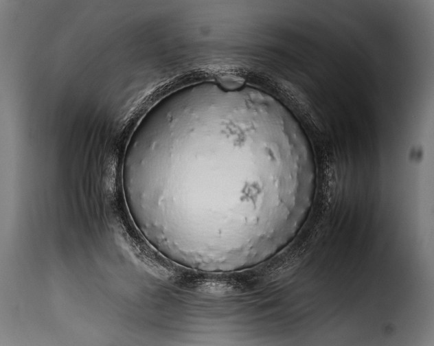 X0000115620596200911241625