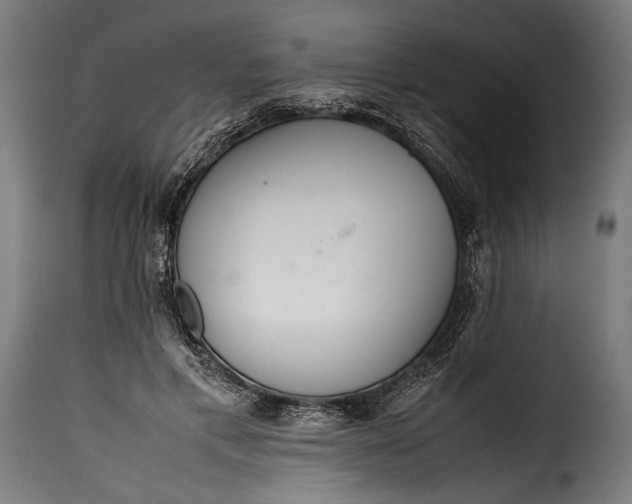 X0000115620597200911241625