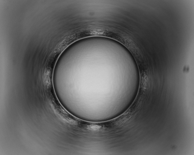 X0000115620598200911241625