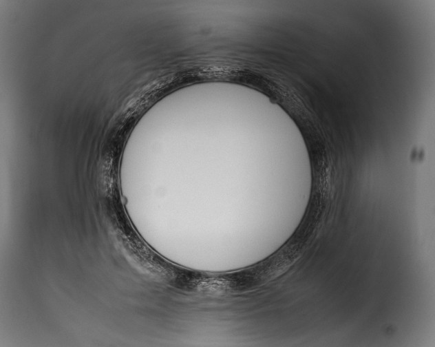 X0000115620599200911241625