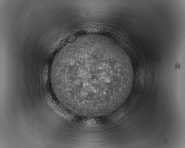 X0000115620600200911241625