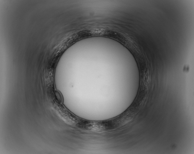 X0000115620601200911241625