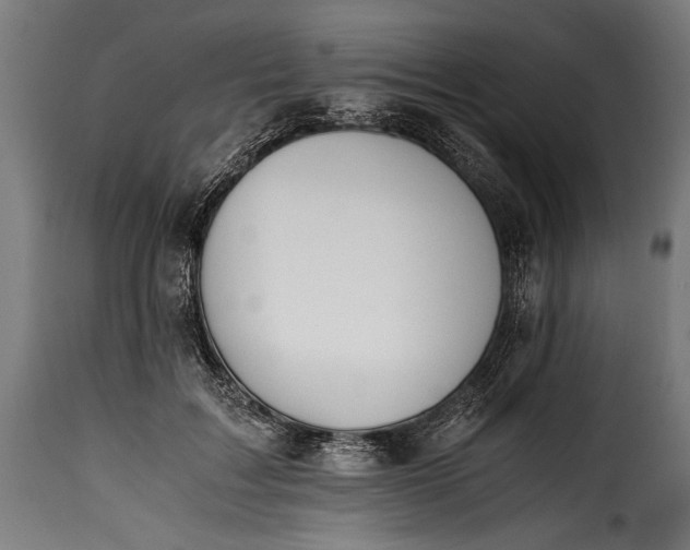 X0000115620603200911241625