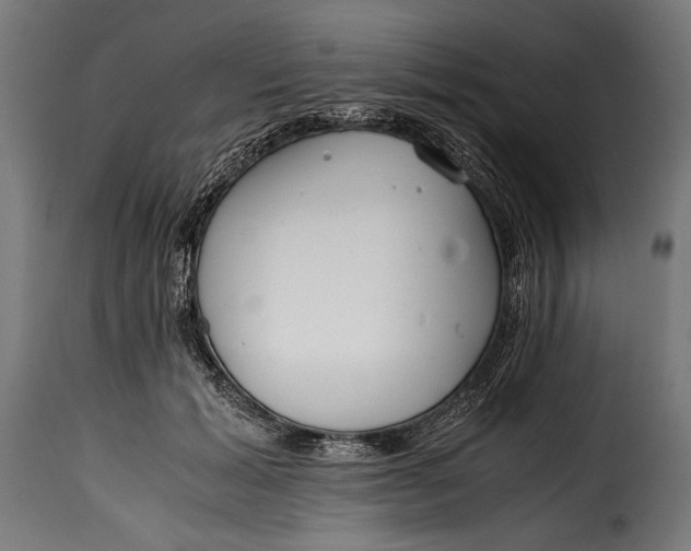 X0000115620605200911241625