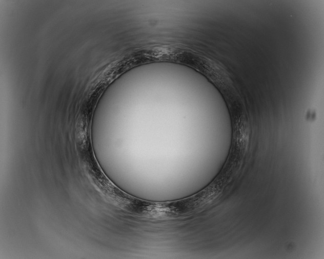 X0000115620607200911241625